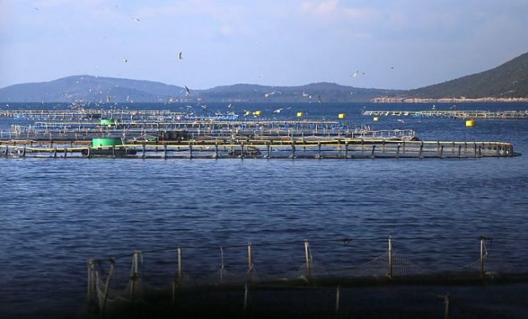 Foto: Zadarski list
