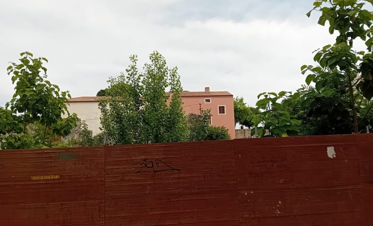 KOROV, PIJACA