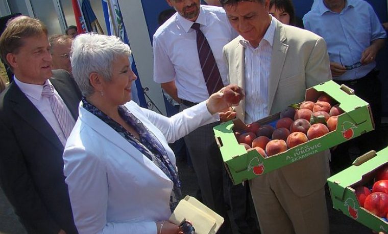 KOSOR_BRESKVE_1279365733.jpg Foto: 057info(I.Z.)