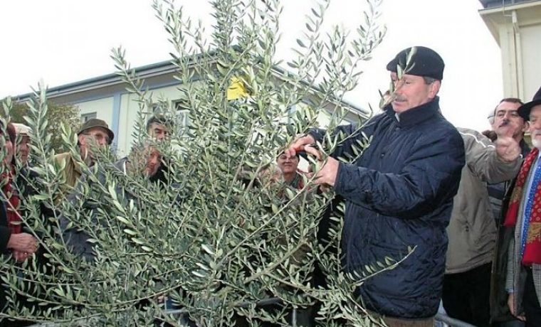 KOSTOVIĆ_1392102637.jpg