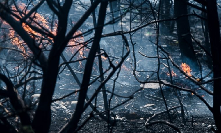 Foto: Krešimir Sorić (057info)