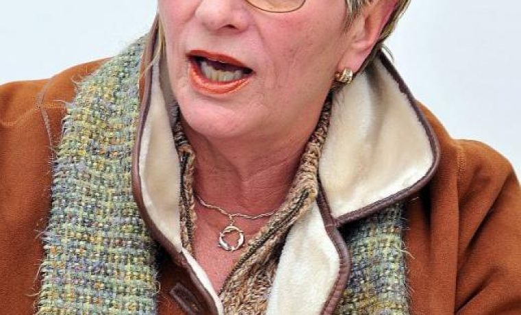 LADA_ŠOKOTA_1357802082.jpg