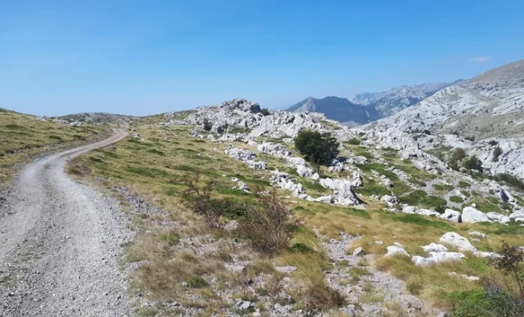 Libinjska Kosa