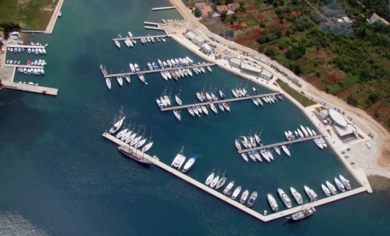 MARINA_olive9f_1331572091.jpg