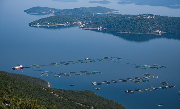 Foto: 057 info (Marko Dimić)