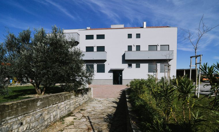 MDI_6448_1575372719.jpg Foto: 057 info (Marko Dimić)