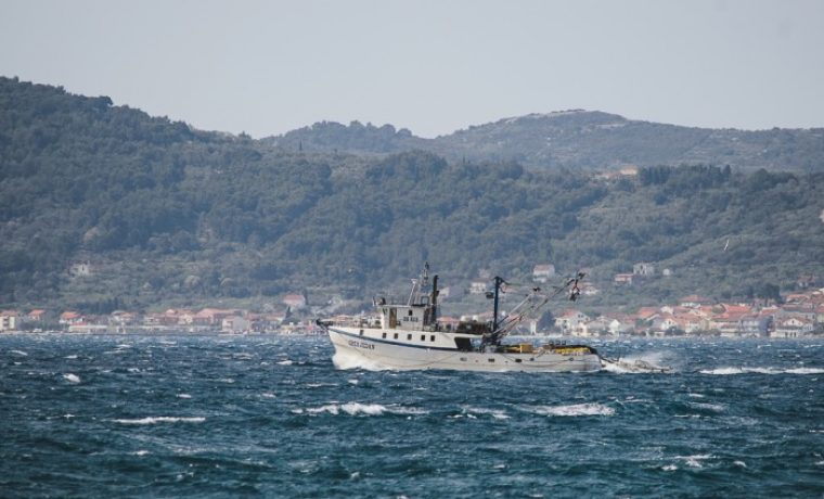 Foto: 057 info (Marko Dimić)