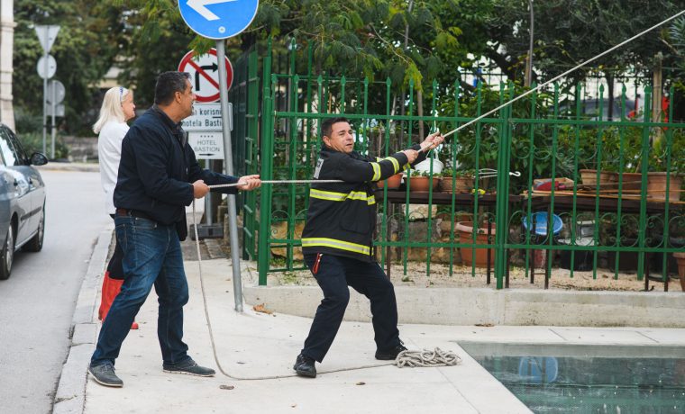 MDI_8613_1572520046.jpg Foto: 057 info (Marko Dimić)