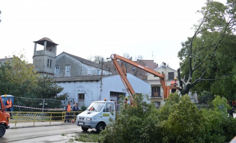 Foto: 057 info (Marko Dimić)