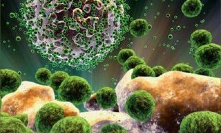 MEDICINE_HIV_virus_1_1__1220595953.jpg
