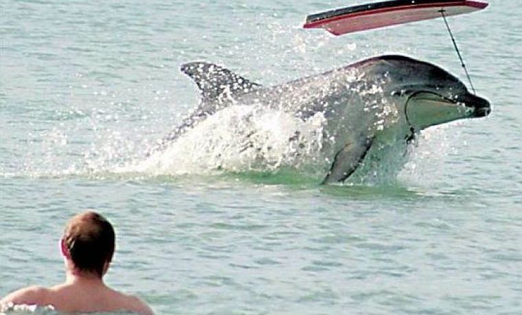 Foto: Otago Daily Times