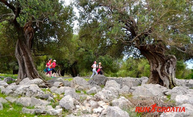 NOVALJA_INTERNATIONAL_HALF_MARATHON_1490182866.jpg Foto: PR