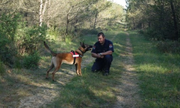 PAS_Ruff_7_530x352_1366896548.jpg Foto: Zadarski list