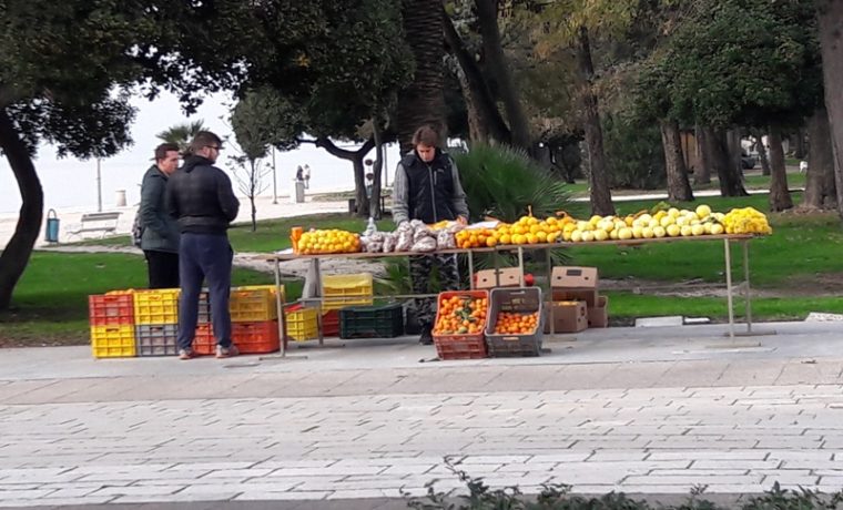 PRODAJA__MANDARINE_1543594523.jpg Foto: 057info