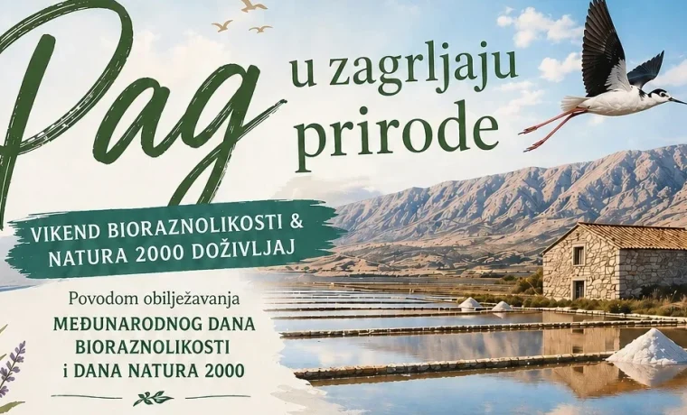 Foto: 057info