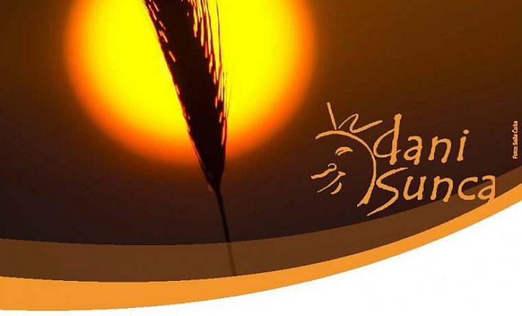 Plakat_Dani_sunca_2013_1374245616.jpg