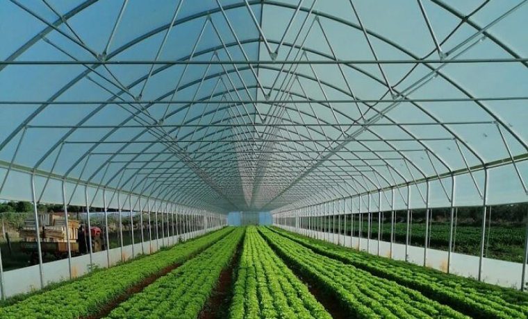 Plastenik_AGRRA_1611573550.jpg Foto: PR