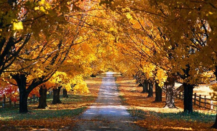 Foto: smilehousecleaning.com