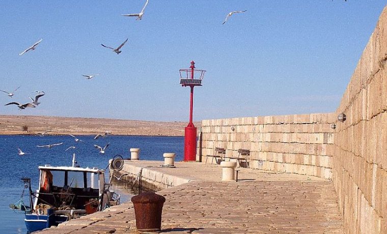 RAZANAC_1_1267107008.jpg