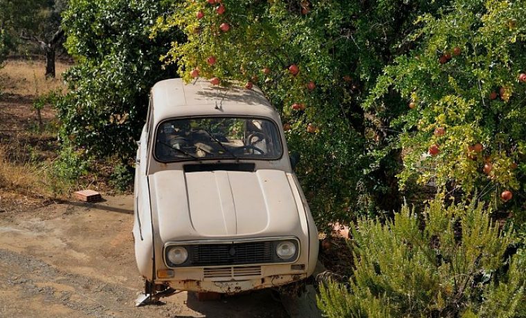 RENAULT_1508224418.jpg