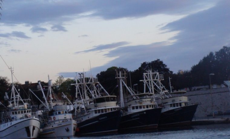 RIBARICE__LUKA_1397566587.JPG Foto: 057info