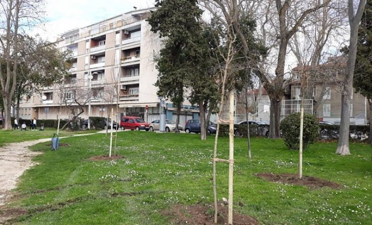 RIVA__SADNJA_1628767145.jpg Foto: 057info