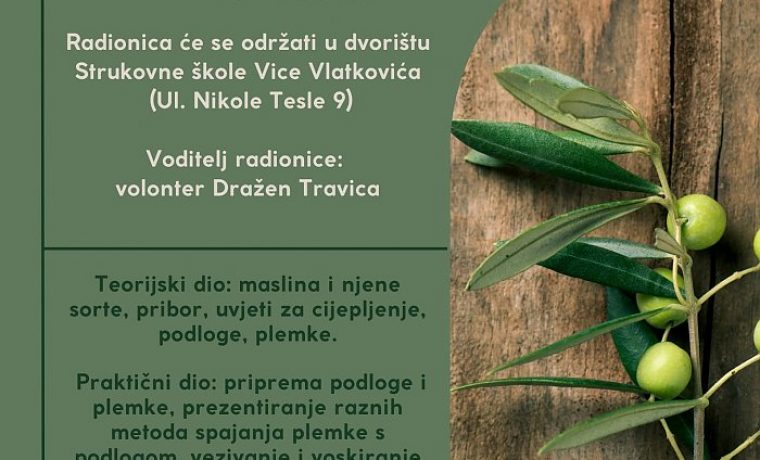 Foto: 057info