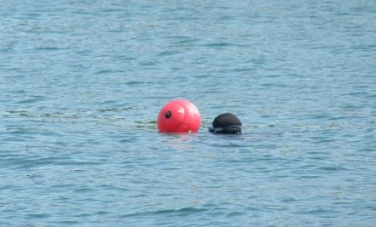 Foto: Regional Express (ilustracija)