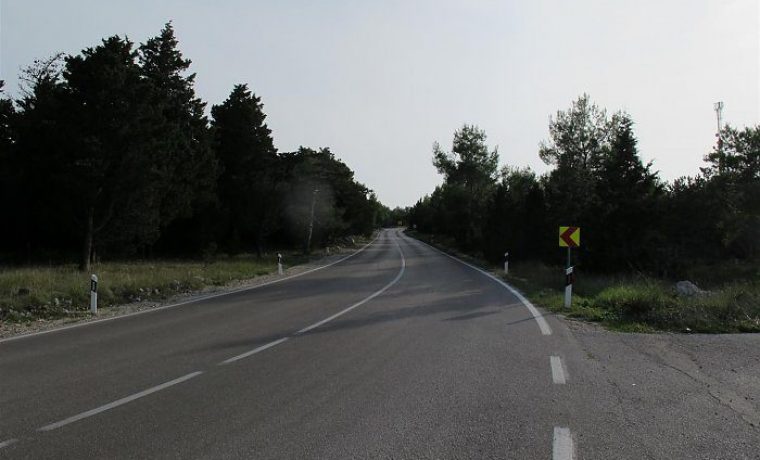 Road_Razanac___Pine_trees_1_1477295974.jpg