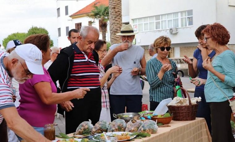 Foto: Naši školji