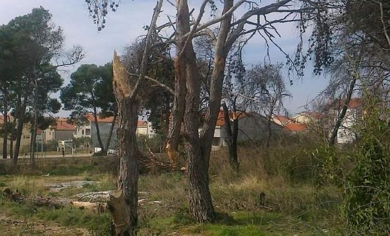 STABLO_2_1426060384.jpg Foto: 057info