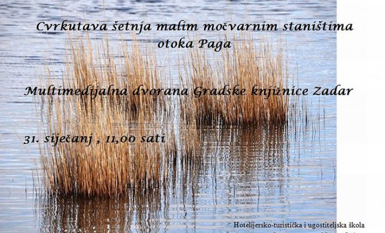 STANISTA_1359460070.jpg