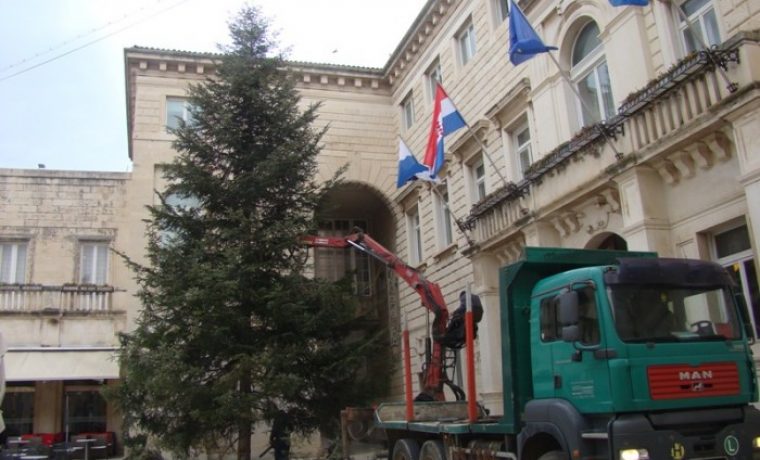TRG__JELA_1484659842.JPG Foto: 057info