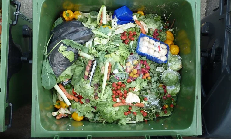 Treasure_trove_of_wasted_food Foto: Wikimedia