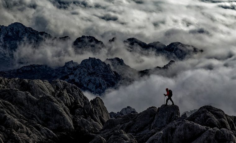 VELEBIT, MRLJA VELEBIT, MRLJA