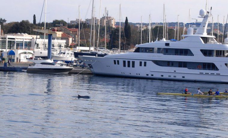 VID_0495_1458981649.JPG Foto: 057 info