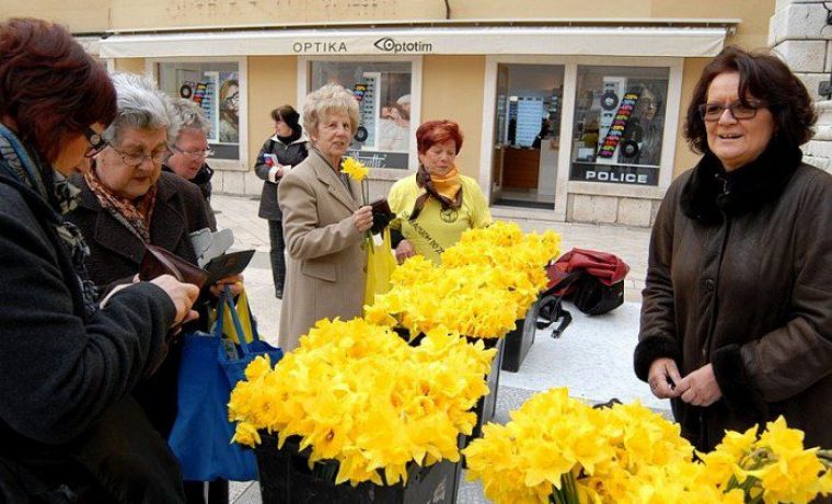 VID_0545_1364029567.JPG Foto: 057 info