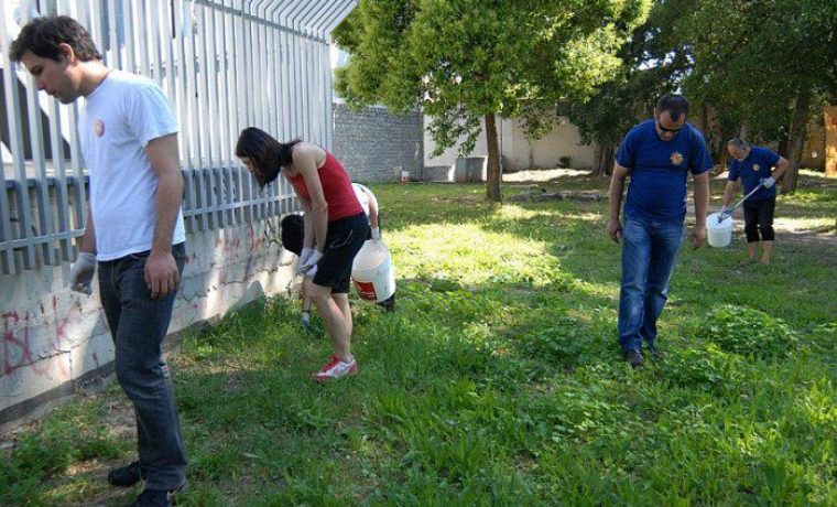VID_3723_1371285697.JPG Foto: 057 info