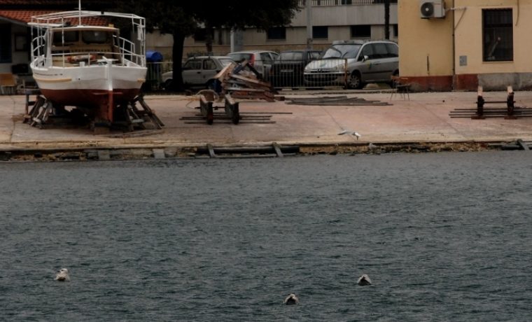 Foto: Adam Vidas