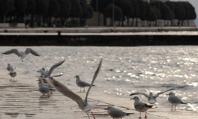 Foto: 057 info