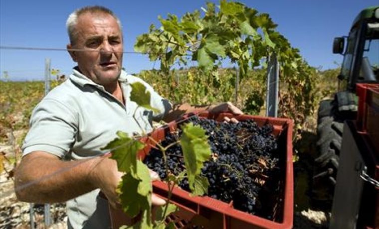 Foto: slobodnadalmacija.hr