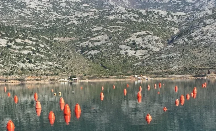 Foto: Vele Mare