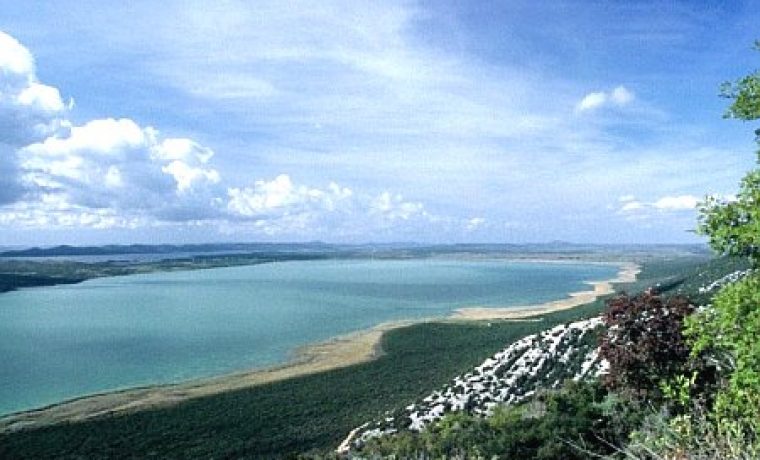 Vrana_1290090194.jpg Vrana_1290090194.jpg