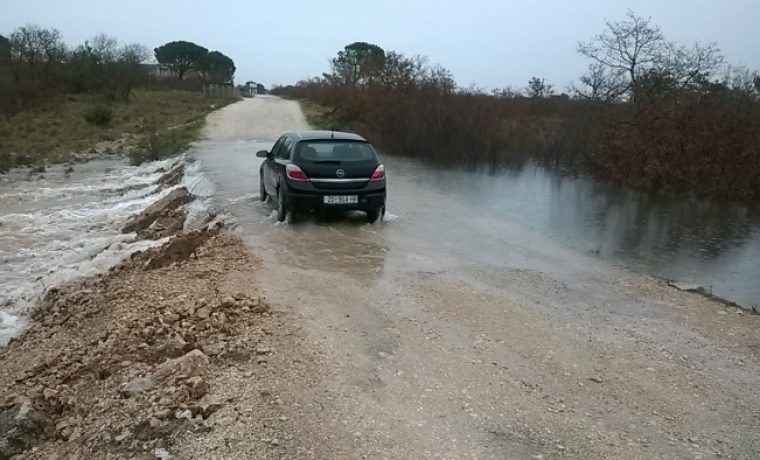 Foto: Branko Božić