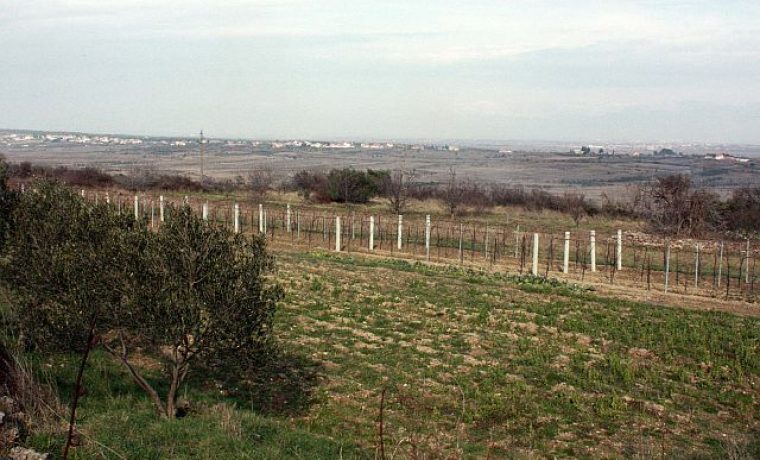 ZEMLJi_te__babindub_1296543644.JPG