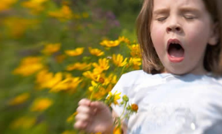 allergy_1210755267.jpg