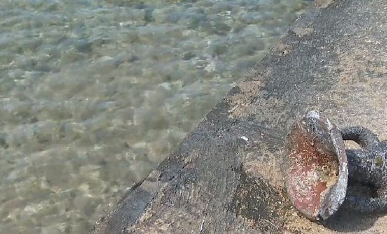Foto: Screenshot/RTL danas