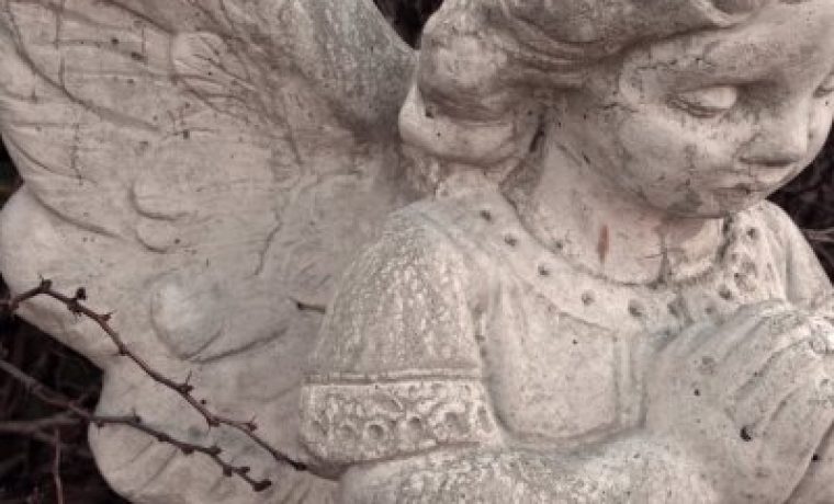 angel_1225701754.jpg
