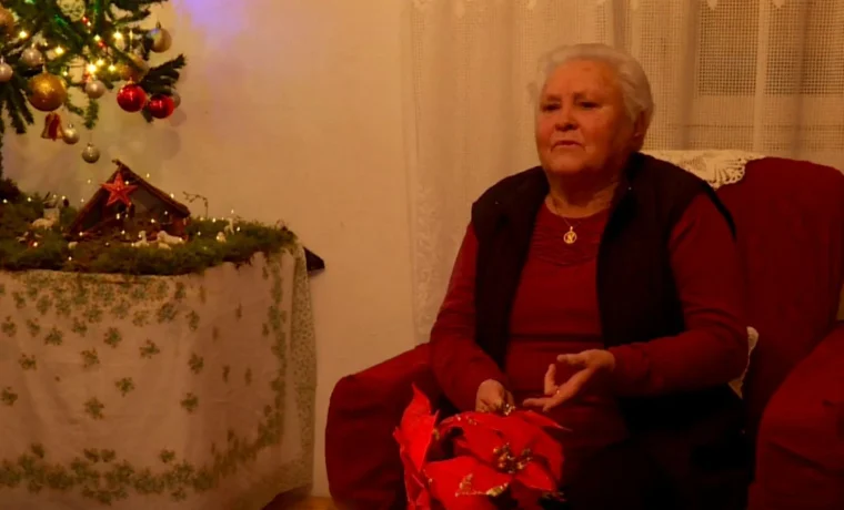 anka petišić anka petišić