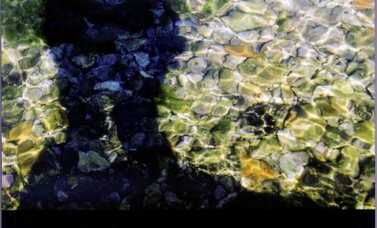 apolon_1373805822.jpg